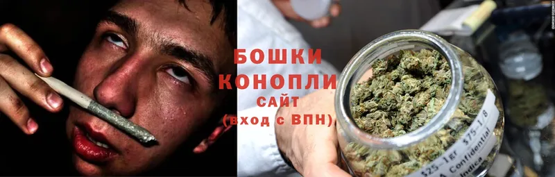 Конопля OG Kush  Нефтегорск 